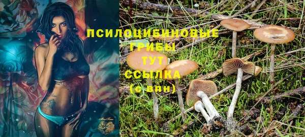 прущие крисы Бронницы